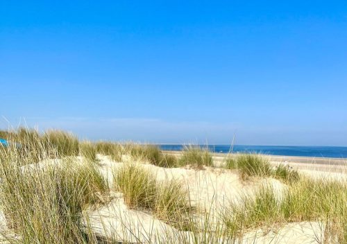 Duinen_2